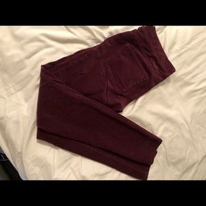 Beautiful Pilcro Burgundy Sz 26 Corduroy Leggings